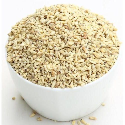Corn Germ