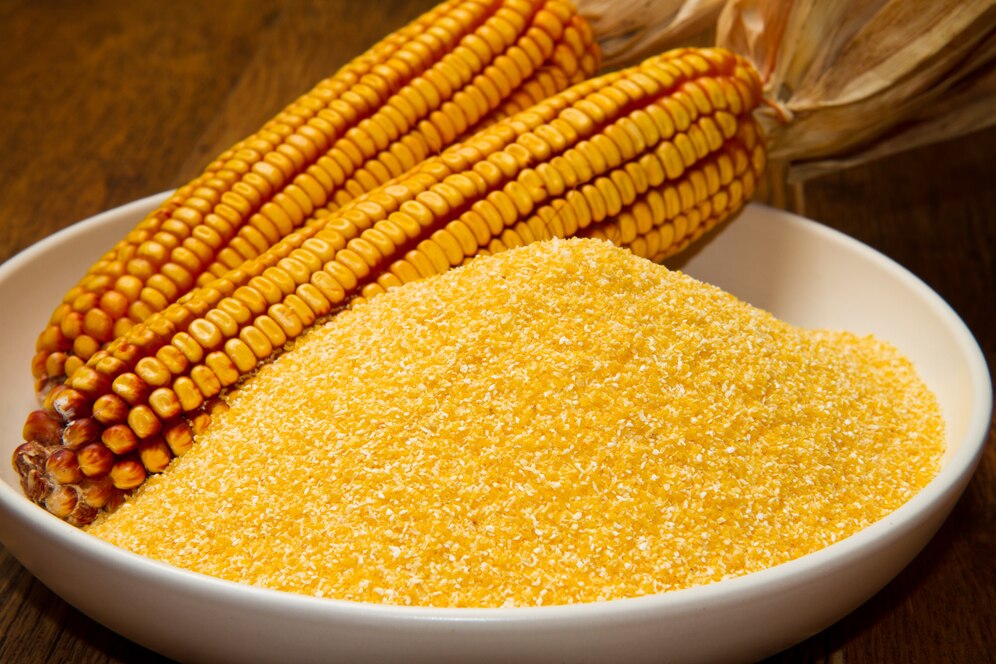 Corn Grits Supplier