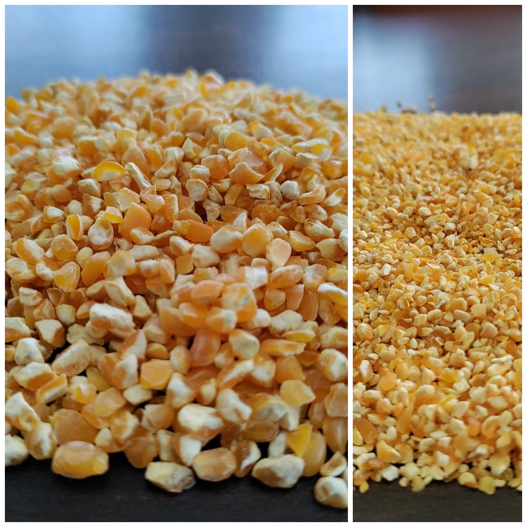 Broken Maize