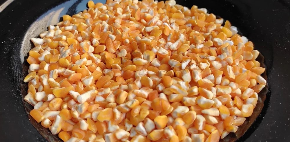 Broken Maize